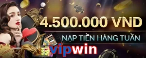 vipwin