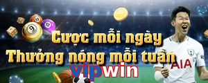 vipwin